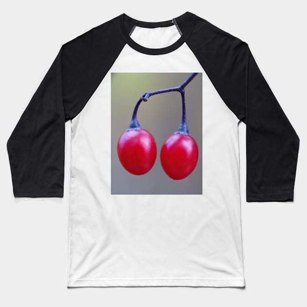 Bittersweet nightshade berries Baseball T-Shirt by SDym Photography